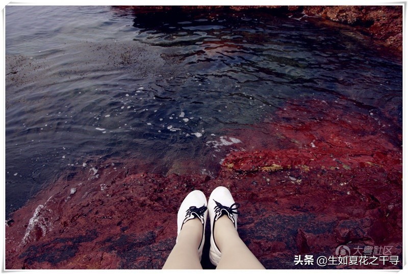 深圳市杨梅坑美人鱼拍摄基地,深圳大鹏杨梅坑美人鱼拍摄地点