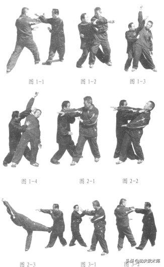 八卦掌实用技法,八卦掌掌法应用技巧