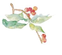 黑龙江省建筑施工员招聘,黑龙江建筑行业人事猎头招聘