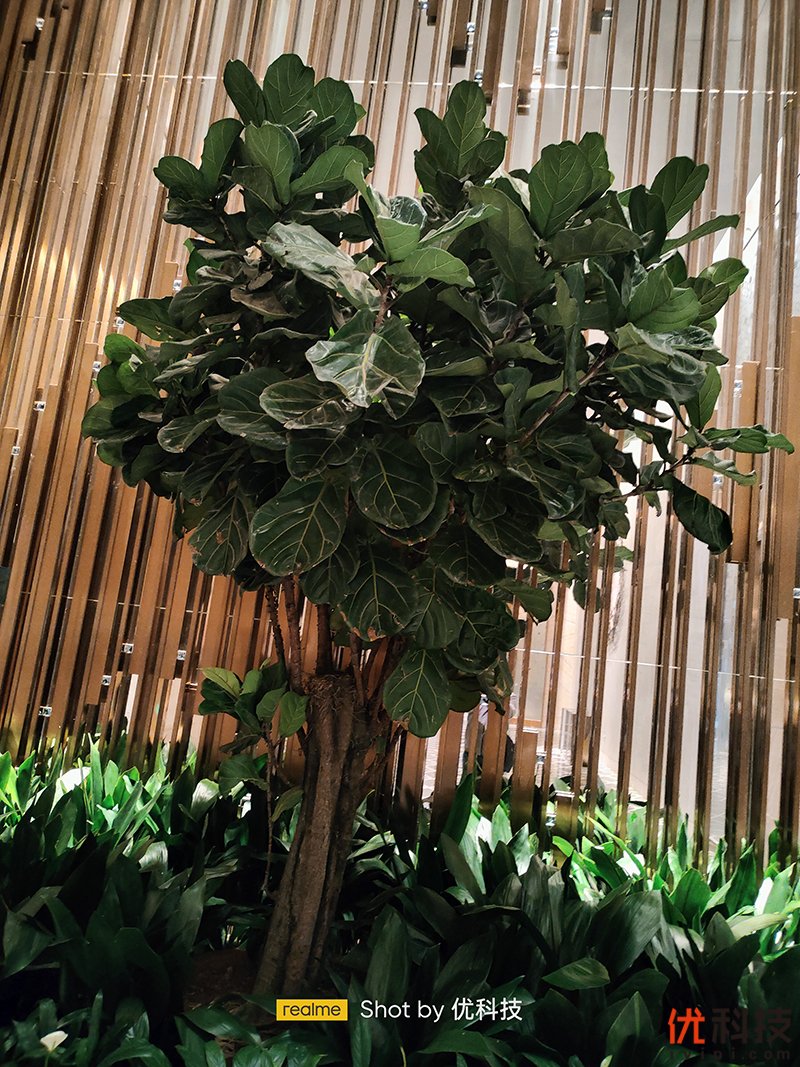 爆款力作，性能更出色realme真我Q3s优科技全面评测