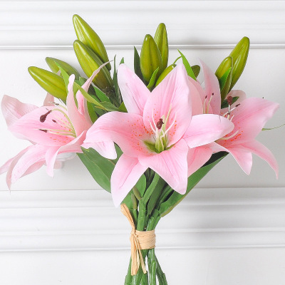 刘墉之子刘轩书籍,刘墉之子刘轩简介