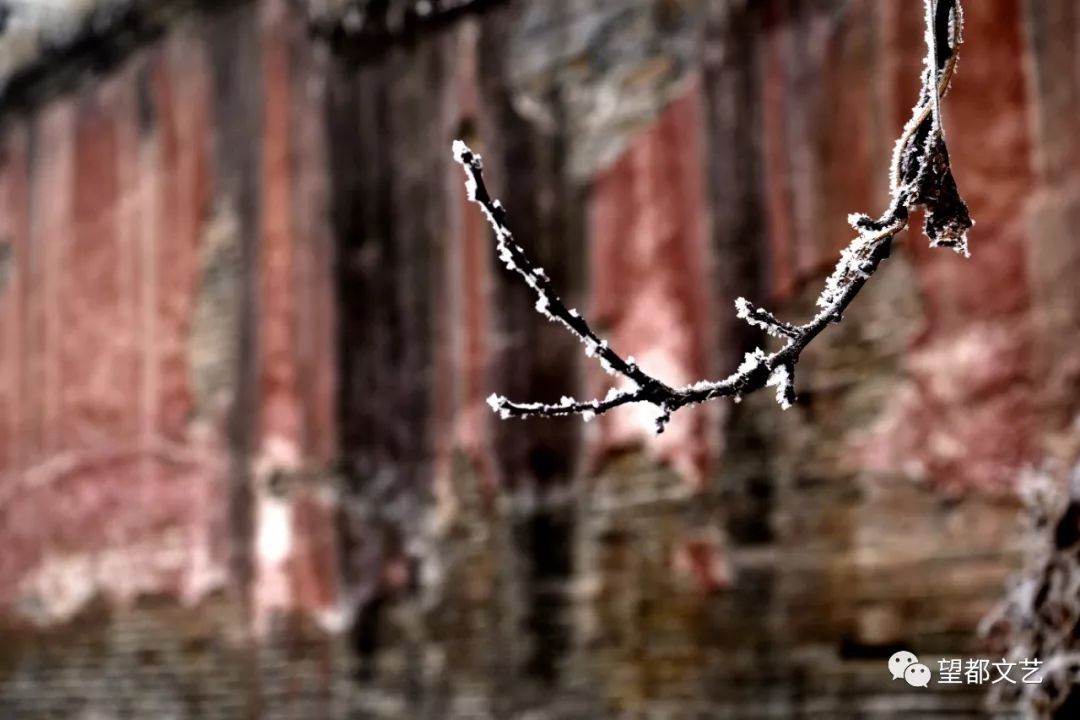 雪后美景银装素裹,雪后银装素裹似仙境