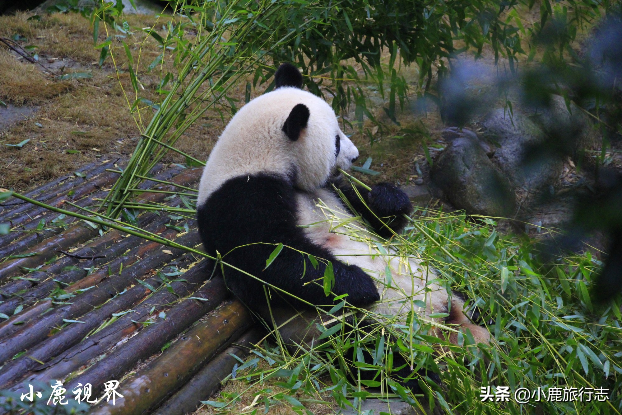 情侣中国旅游必去十大城市,适合情侣旅游的城市攻略