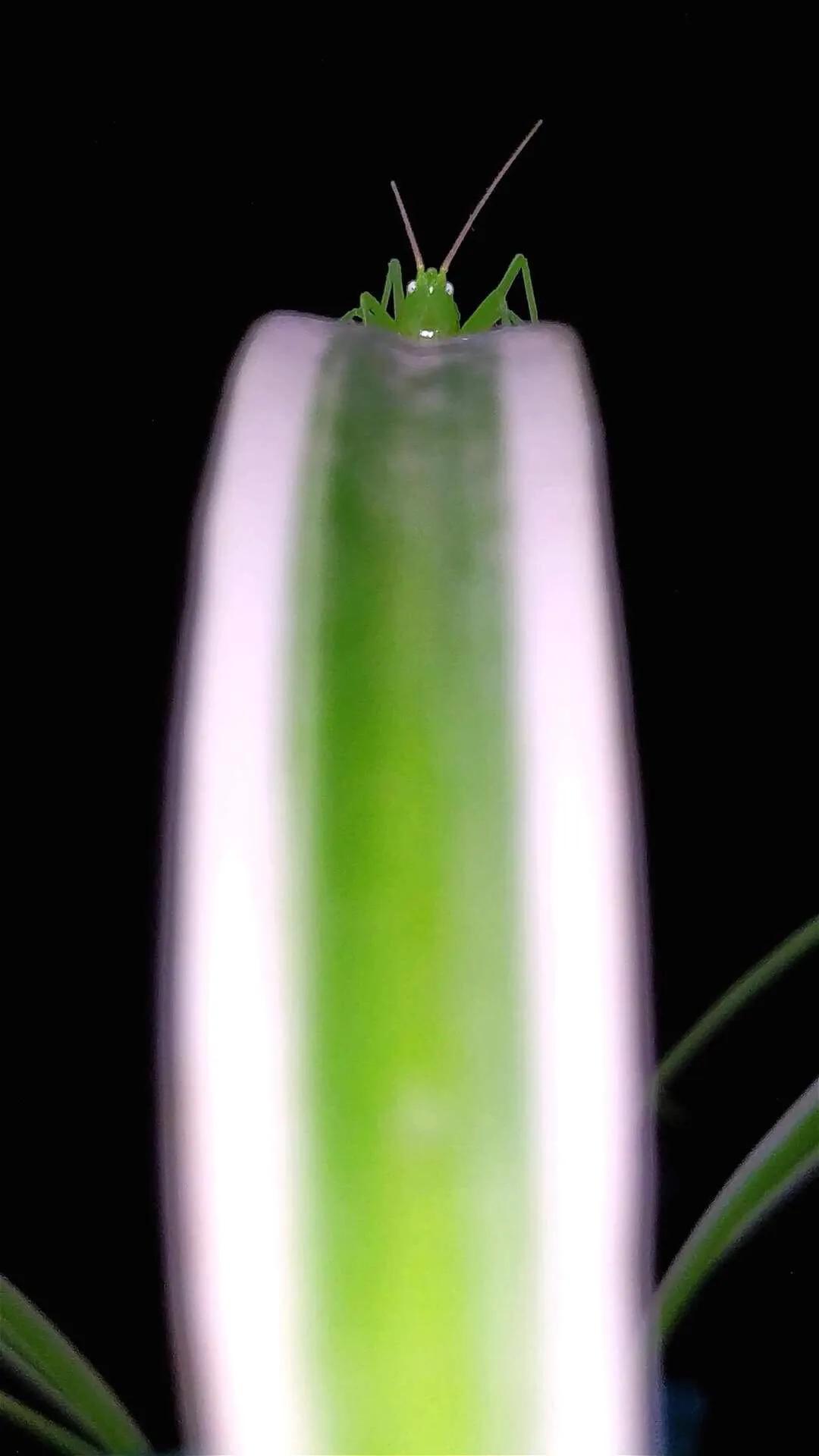 手拍世界-2021年09月各周最佳作品专集（总第716期）