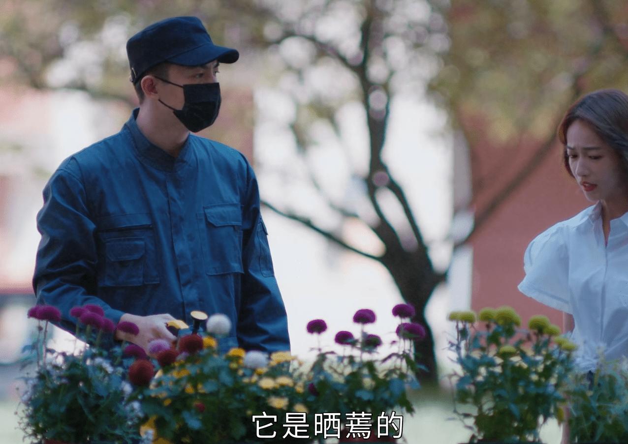 我的砍价女王林更新和谁好了,林更新我的砍价女王照片片段