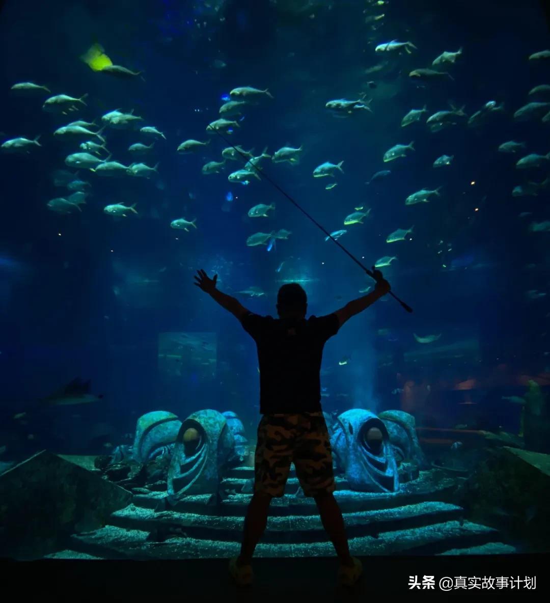 故事：前高管放弃百万年薪到无人区海钓，捕获246斤狗牙金枪