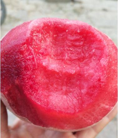 果肉血红的是什么桃子,果肉是红色的脆桃