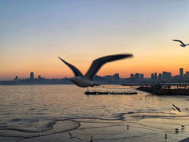 大连城建超乎想象,大连一座被低估的海滨城市