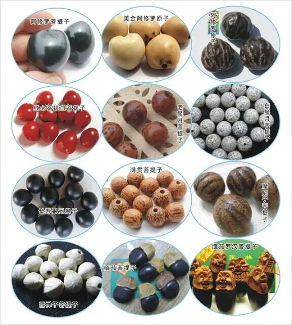 买菩提推荐款式,缅甸菩提什么款式好