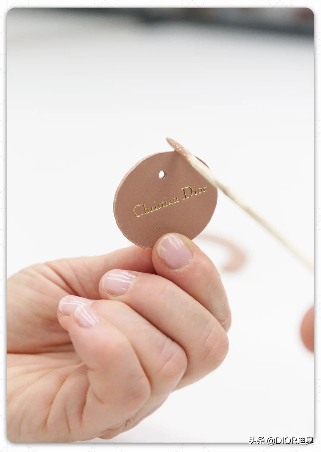 ladydior特别款,ladydior全部款式