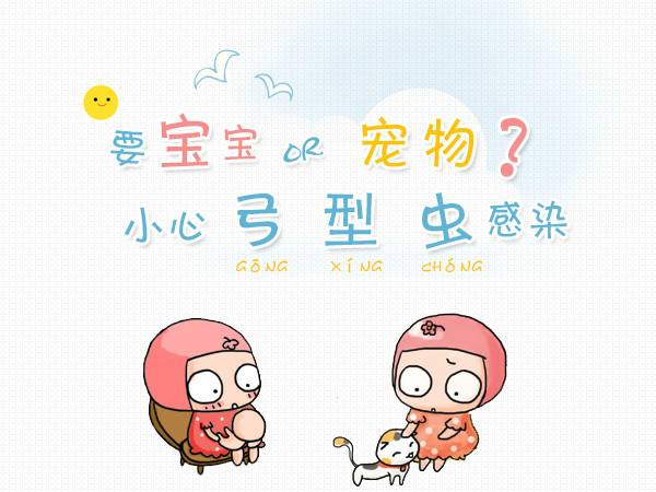 爱猫的妇女,养猫的女孩怀孕前要做什么检查