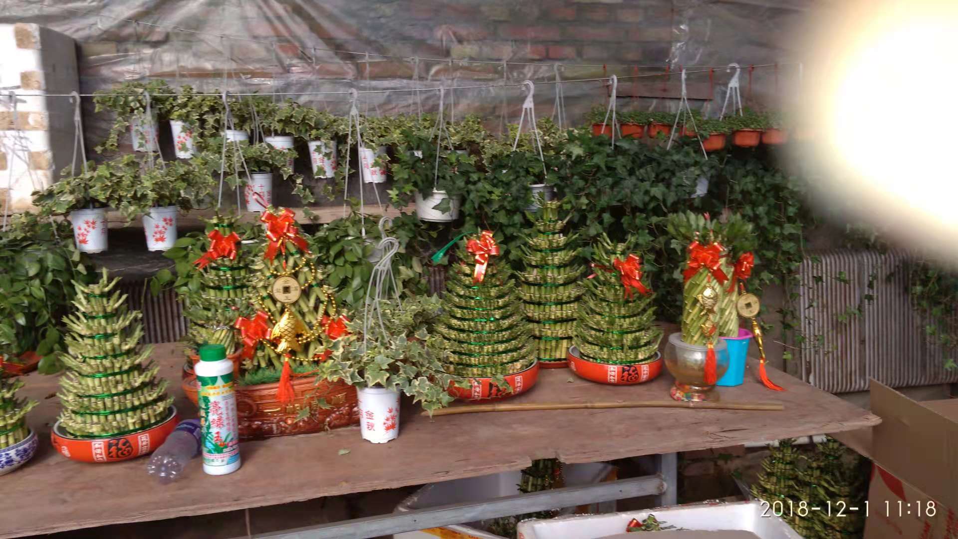 沈阳花卉市场扔花的地方,沈阳花卉市场