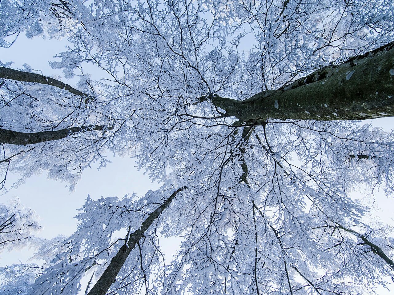 巴中光雾山红叶的最佳时间,红叶谷打卡地