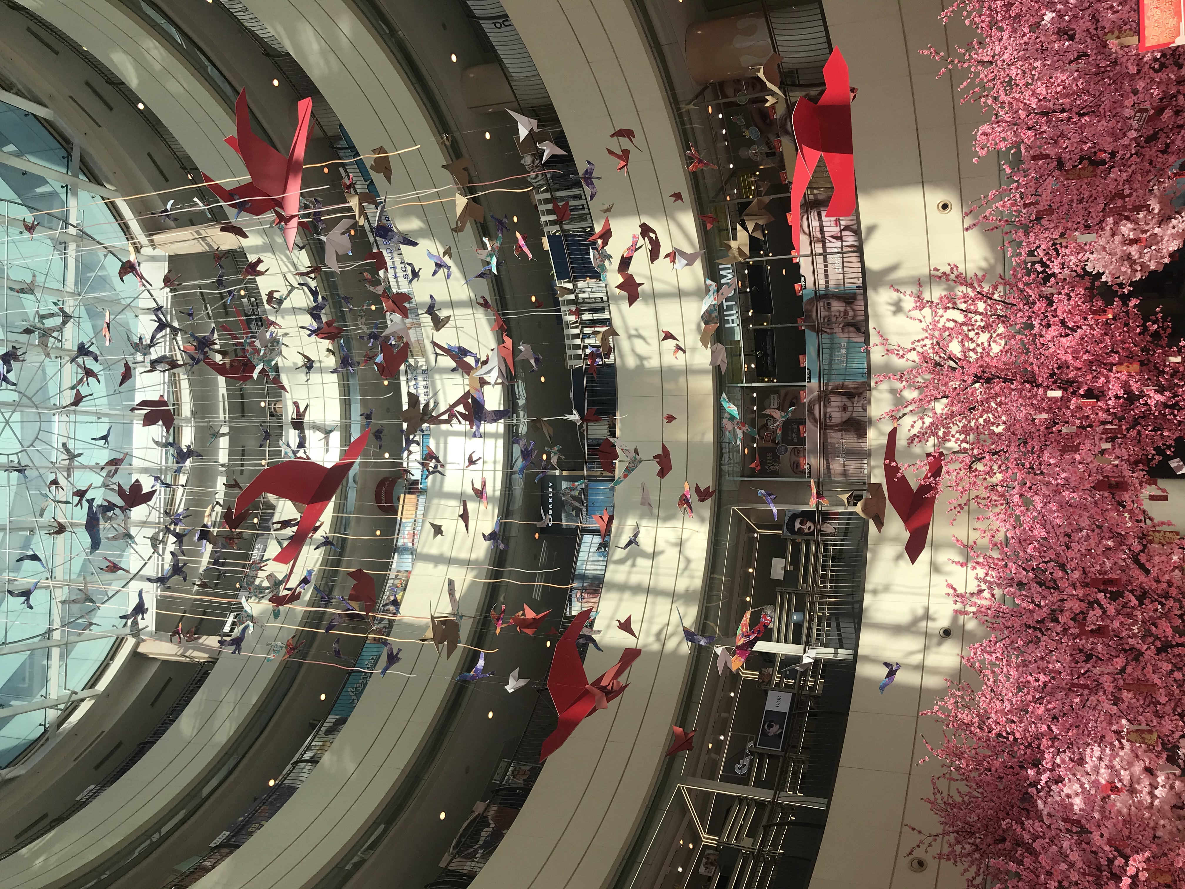 上海的春天视频,上海的春天美景