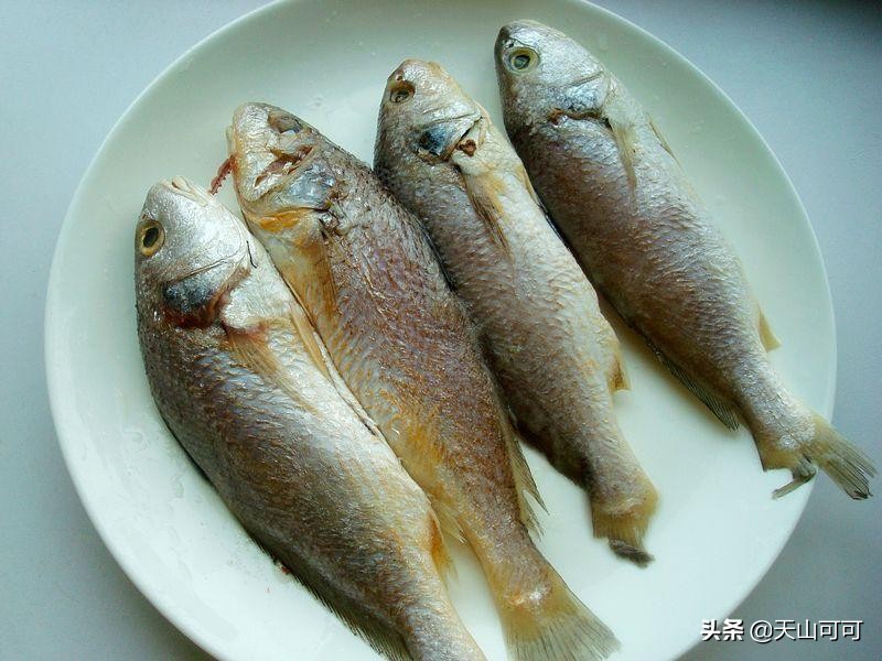 这个季节的鱼最好吃,7月这种鱼最鲜嫩肥美