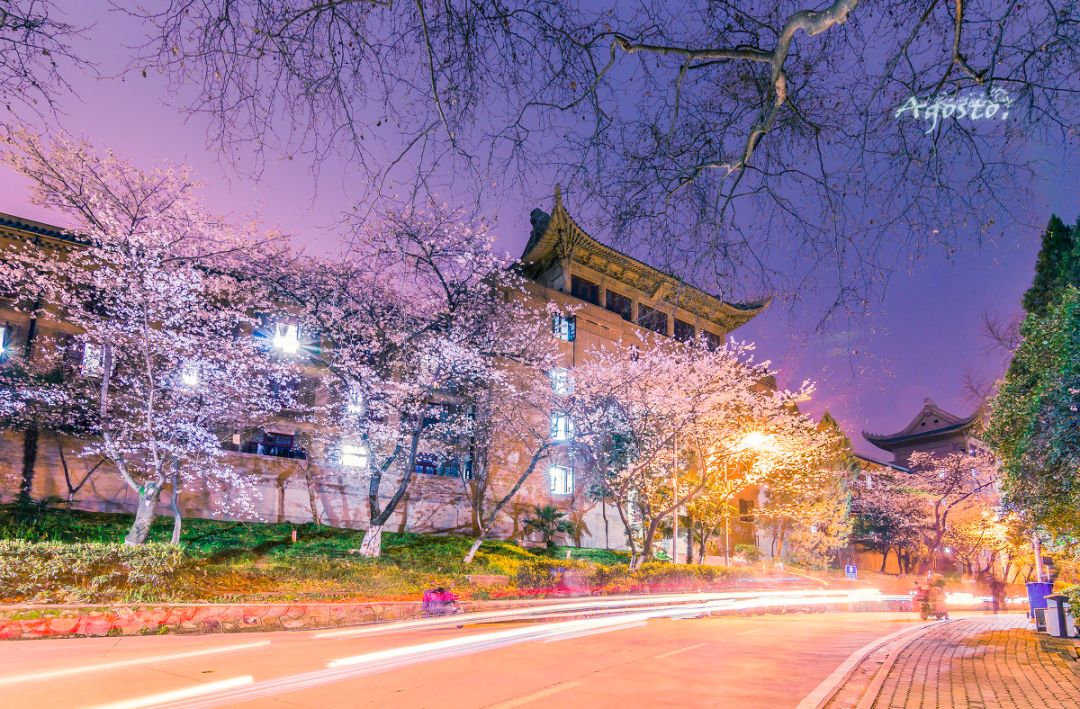 戴口罩的冬天太漫长，差点忘了中国的春天有多美