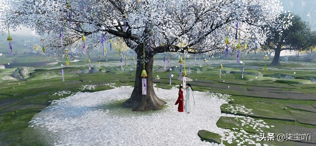 此致爱情军旅文小说,此致爱情小说讲的什么