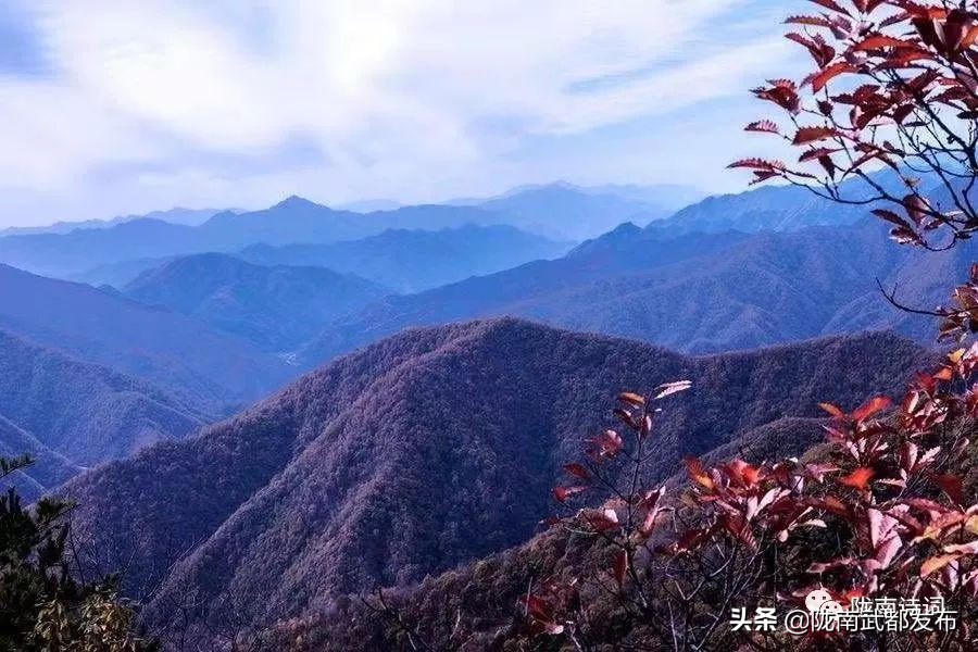 閲戠宄渤鍏洯,閲戠瑁曟渤鍥剧墖
