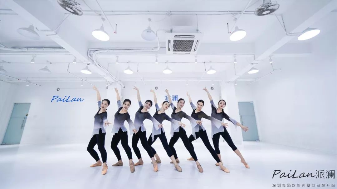 零舞蹈基础该怎么学舞,学跳舞的基本动作和步骤