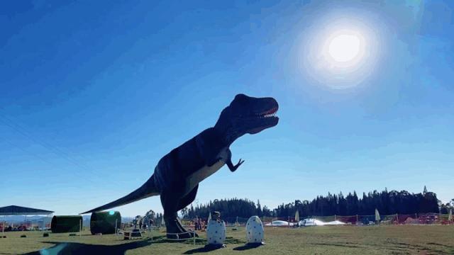 昆明周边亲子游乐场,昆明大型亲子乐园