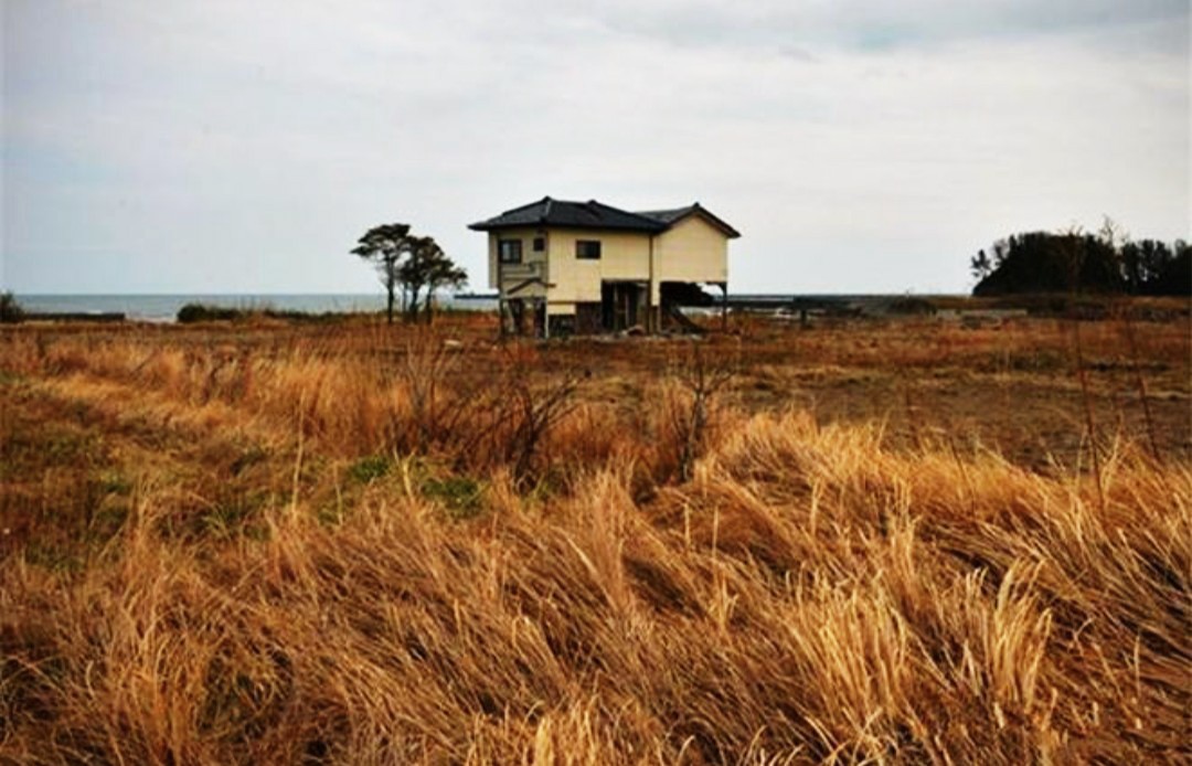 猪肉价格跌入谷底,猪肉跌到5元