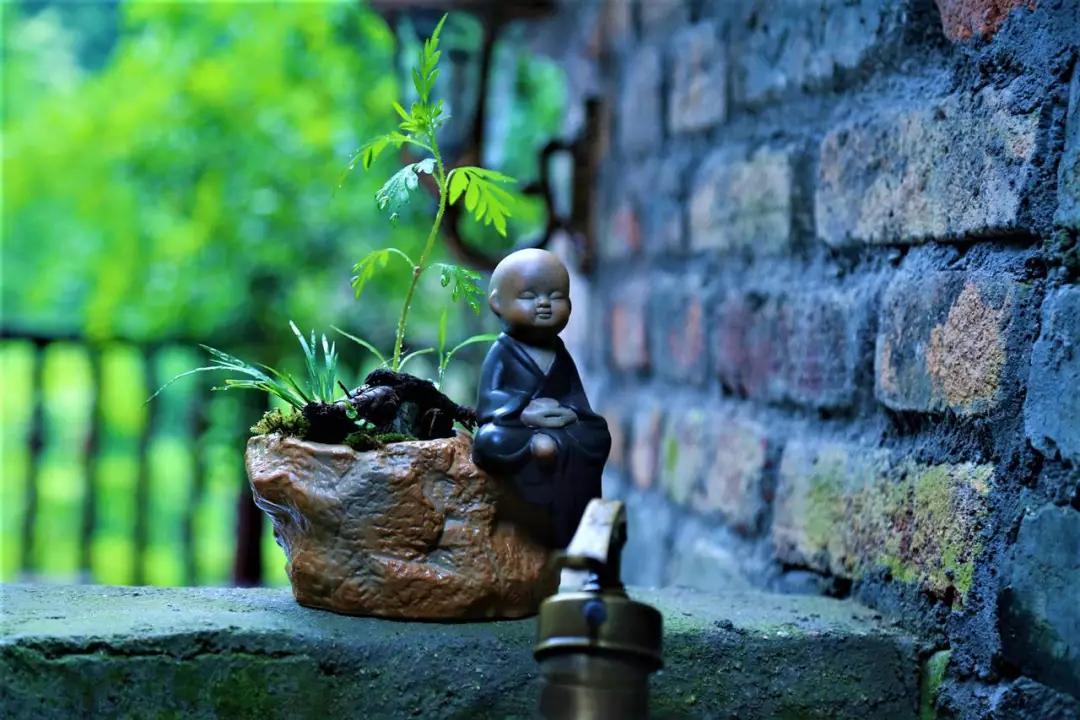 黄山隐秘之境,黄山民宿看风景