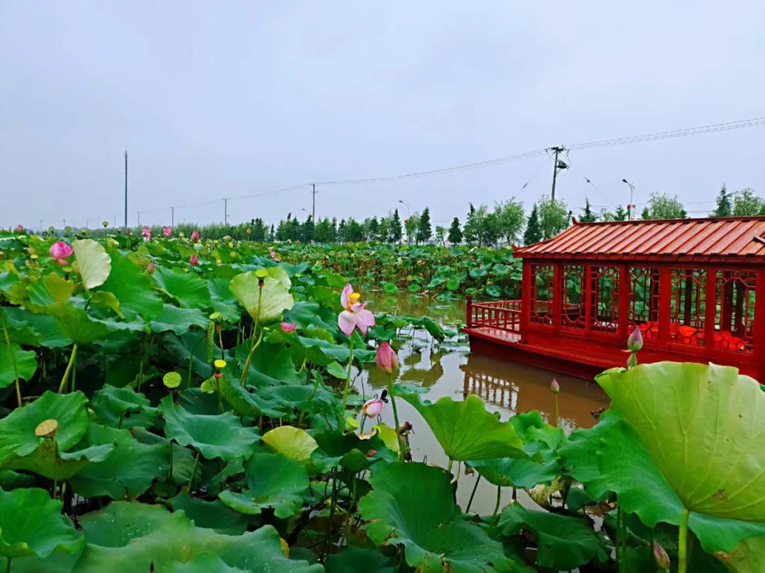 如皋文明网,中国江苏文明网