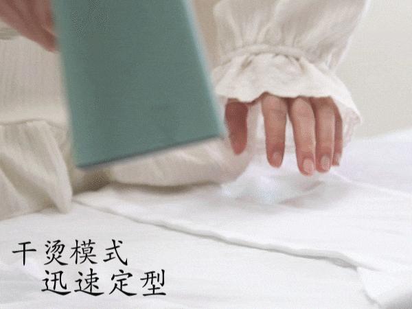 挂烫机如何选择,选什么品牌的挂烫机