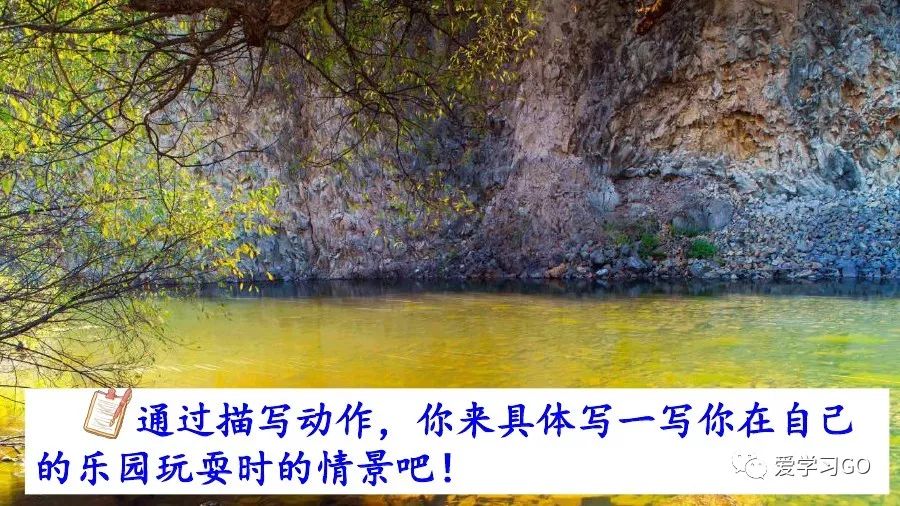 部编版我的乐园作文四年级下450字,四年级下册语文我的乐园优秀作文