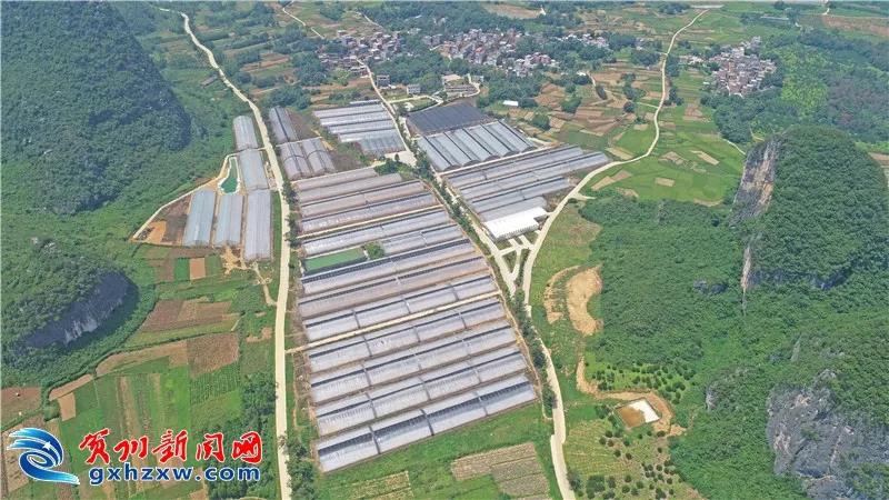 果蔬搭建的“聚宝棚”！龙山村的村民这样圆了致富梦