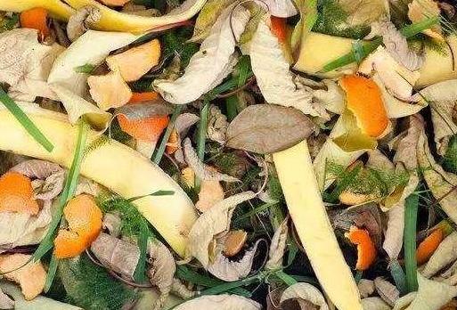 春天种菜怎么样施底肥,春季种菜用什么肥料合适