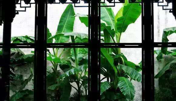 经典夏日诗,最经典的夏日诗