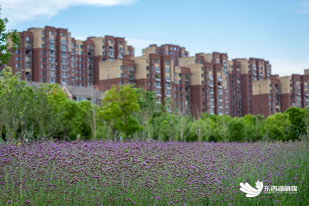 精致城市,高品质特色街区