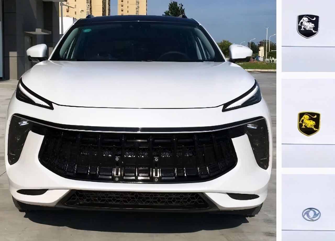 东风风行t5evo用户真实反应,东风风行t5evo2024款车标