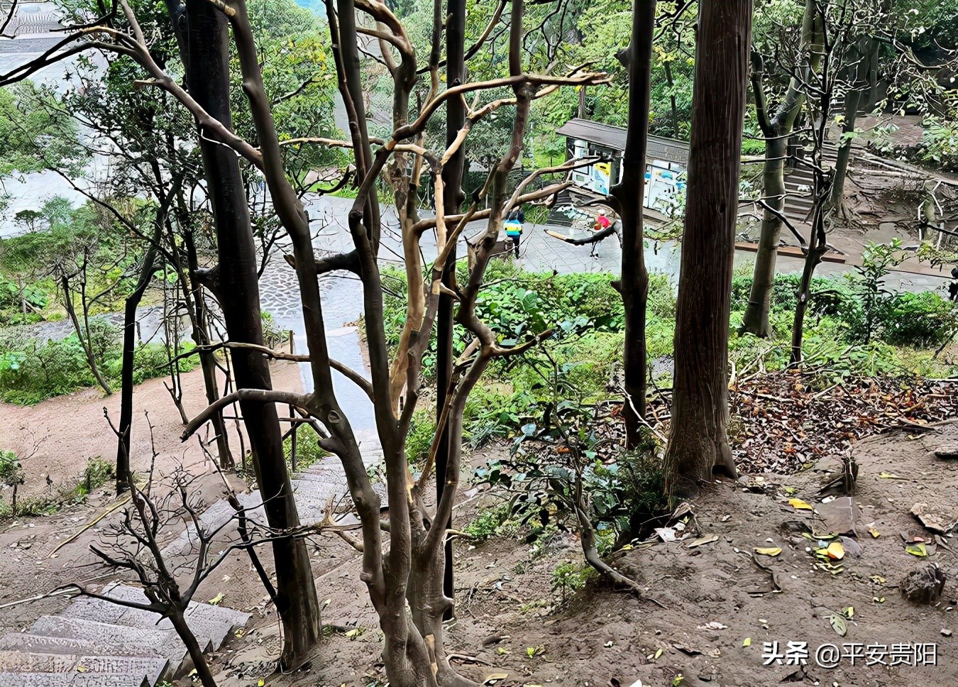 越来越嚣张了怎么办,越来越嚣张怎么解决