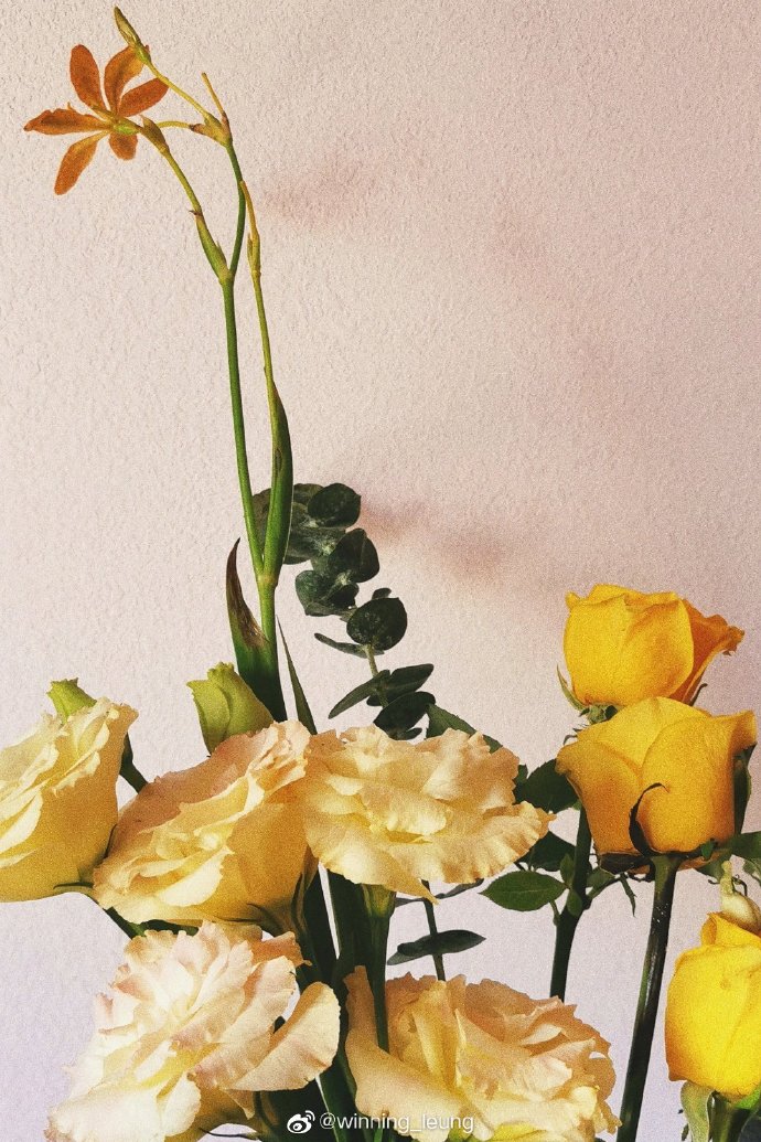 珠海香洲鲜花店,珠海鲜花超市