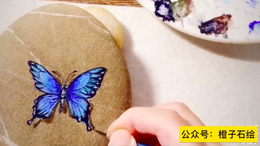 石头画蝴蝶教程视频,在石头上画蝴蝶用丙烯颜料