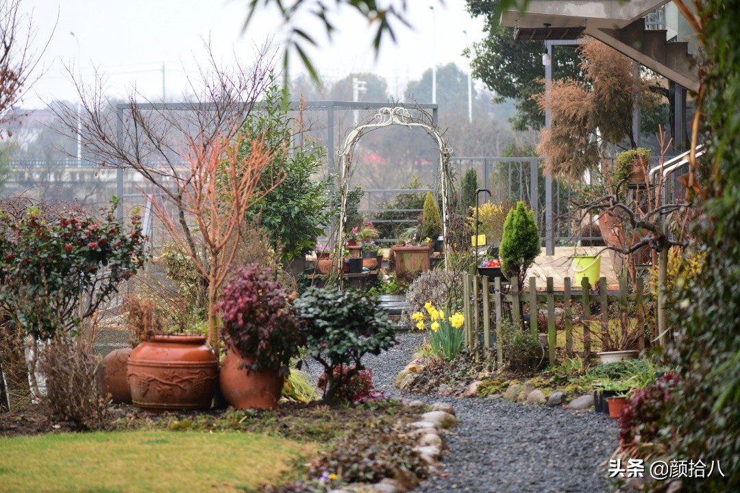 就趁现在，花园最忙碌的季节|园丁