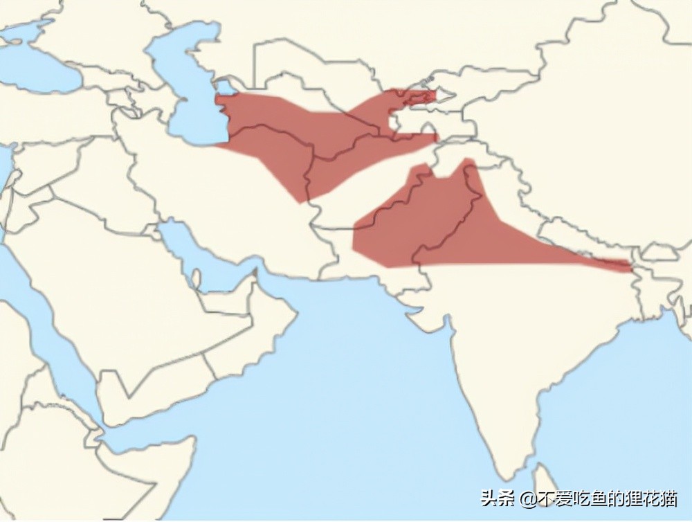 亚洲眼镜蛇的九个亚种,亚洲眼镜蛇分布区域