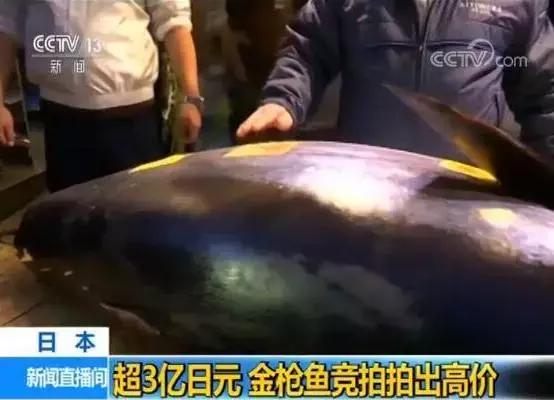 嗨七点出发音频,权健老板束某某是谁