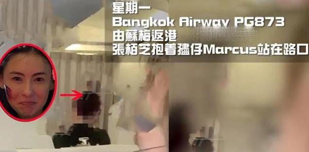 张柏芝被赶下飞机真相,张柏芝一家去泰国旅游