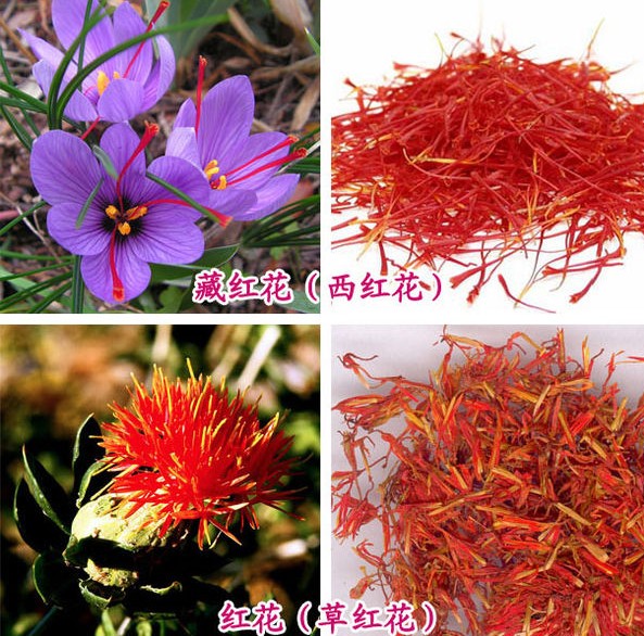 本草纲目藏红花,藏红花怎么搭配活血通经