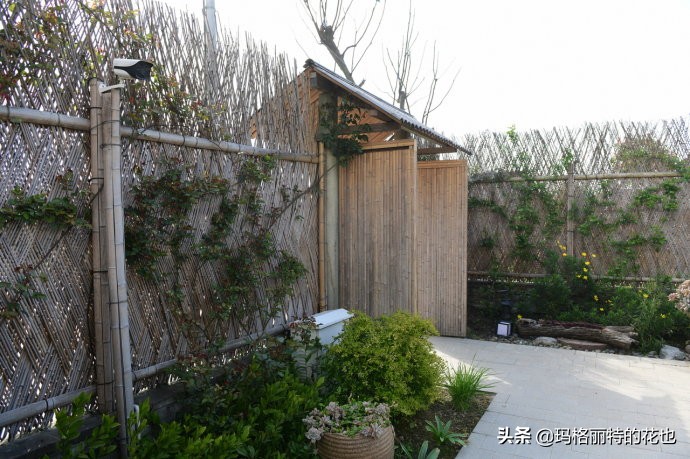 上海洋水仙,上海璞素上居民宿抖音团购