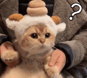 孝感最有钱的10个人,孝感十大有钱人