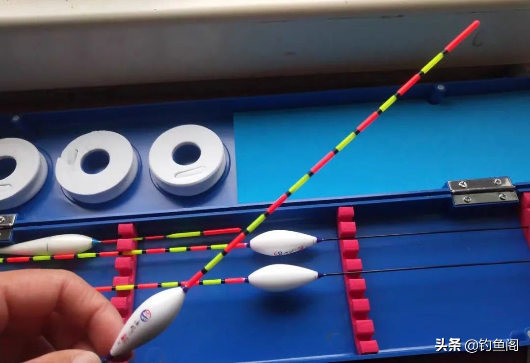 钓鲢鳙忽上忽下怎么办,钓鲢鳙上下浮动该怎么抓口