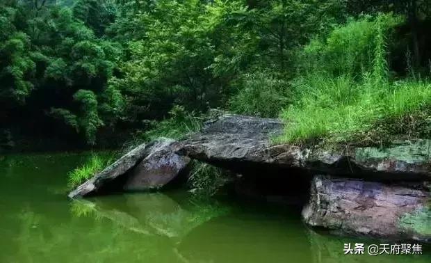 仁寿夏季旅游景区,2020仁寿旅游