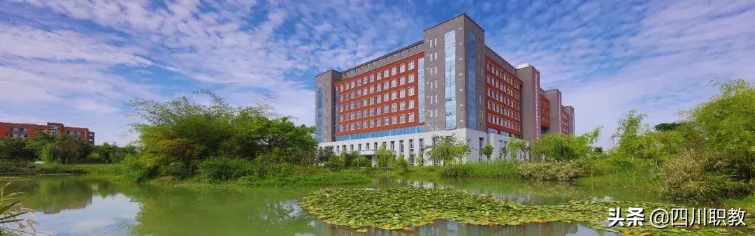 四川省内200-300分的公办专科学院,四川专科院校排名前十的公办学院