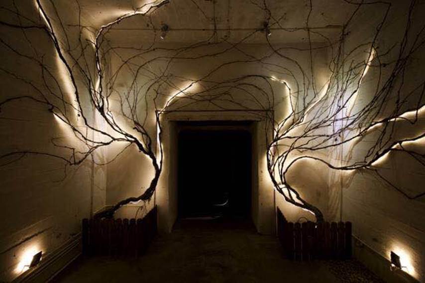 了解更多酒知识,了解更多红酒