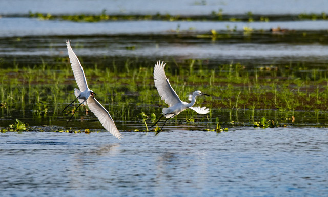 春日新余,美丽钢城新余