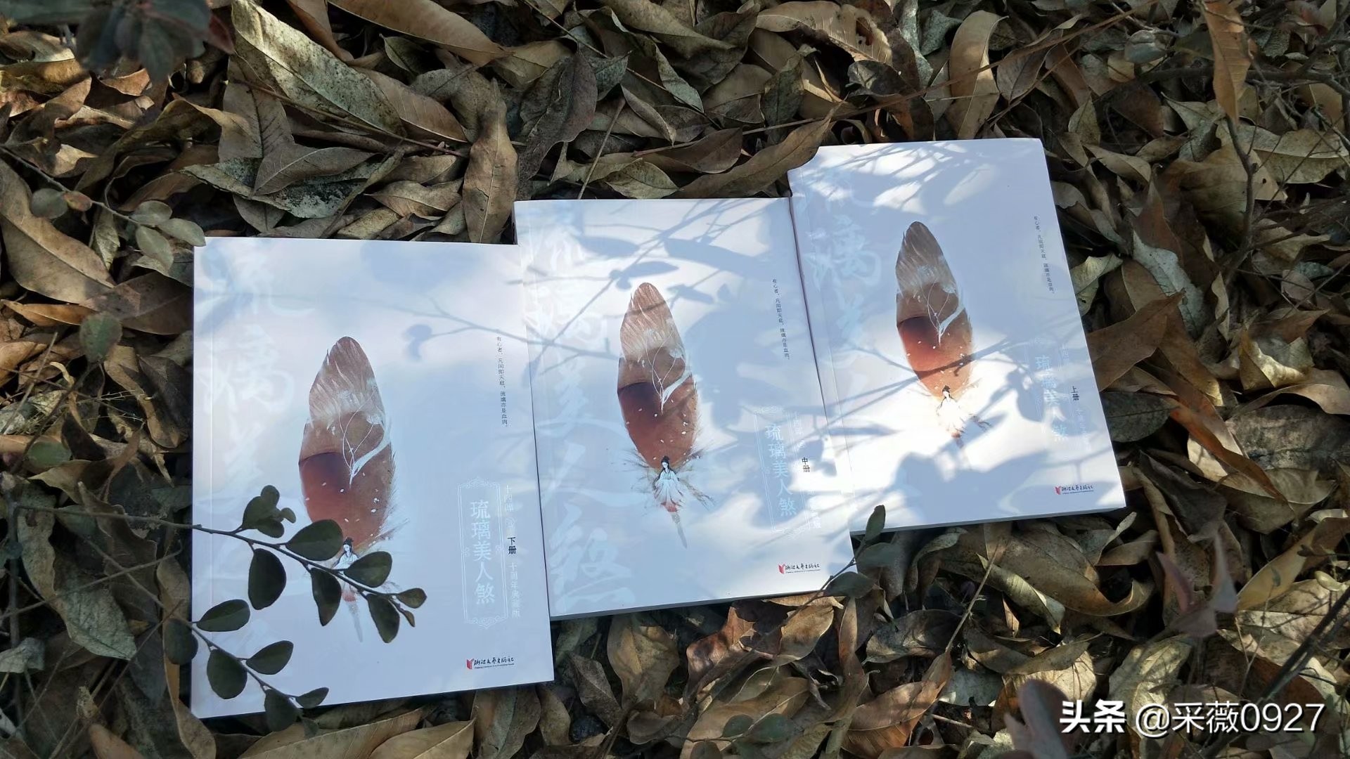 鍗佸洓閮庣悏鐠冪編浜虹厼,鍗佸洓閮庣悏鐠冪編浜虹厼鍚嶅彞